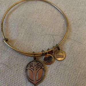 Alex and ani bracelet